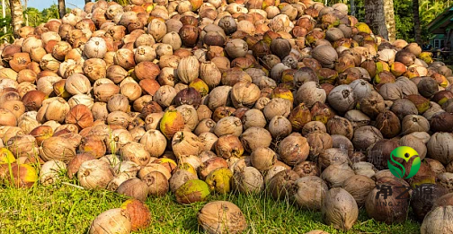 1740453173269118.png image.png